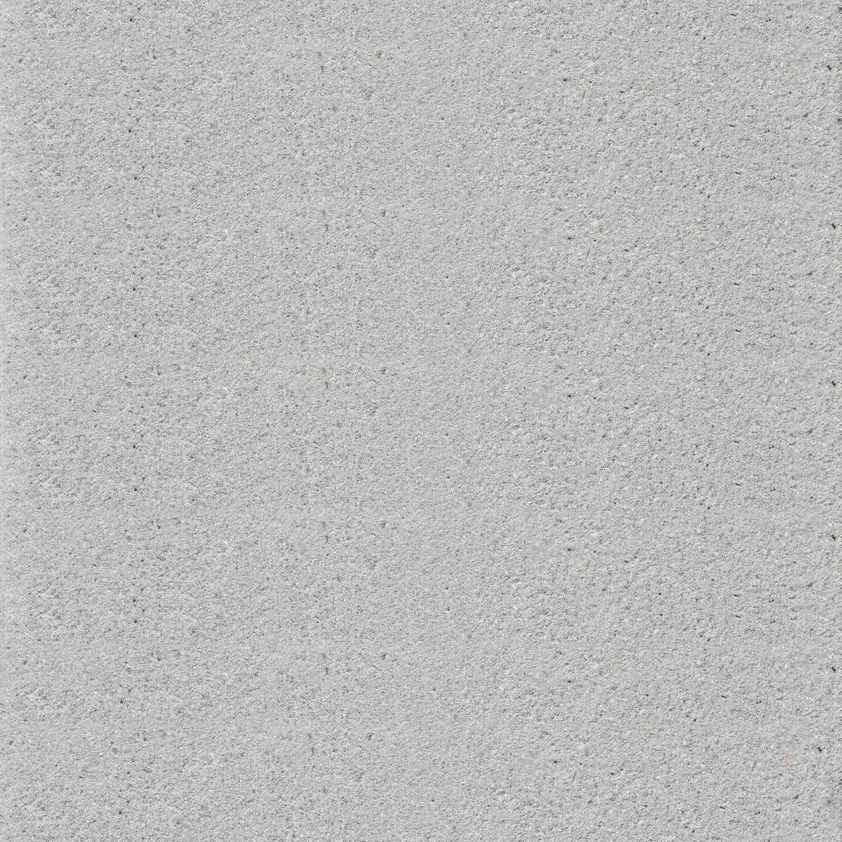 Dalle birken arcadia prémium 40×60  coloris