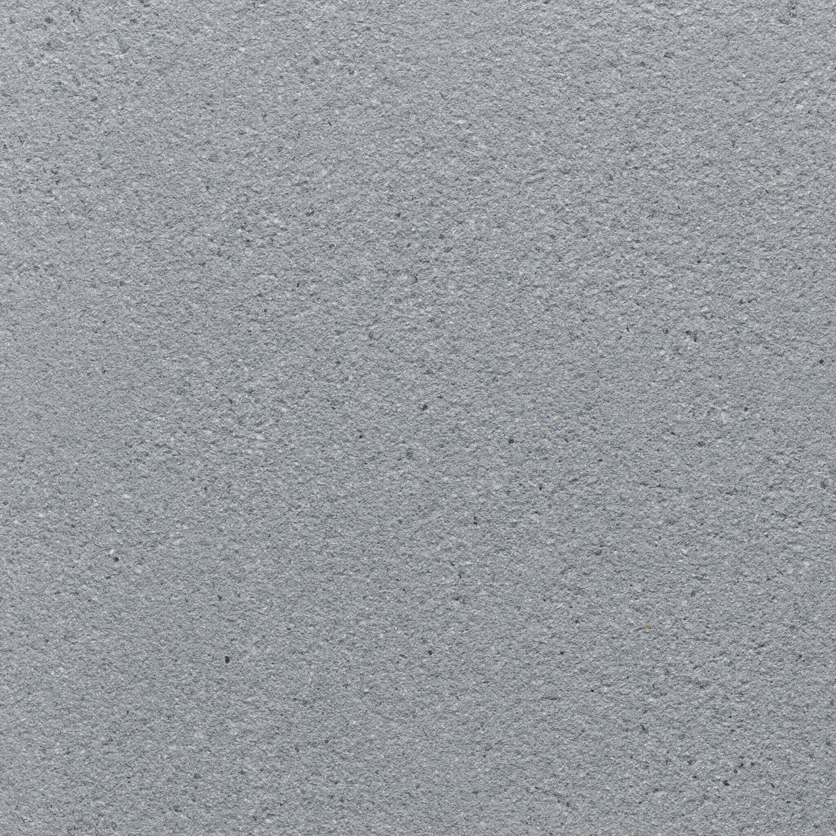 Dalle birken arcadia prémium 40×60  coloris