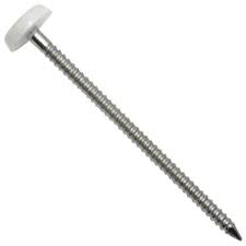 Pointe de fixation inox tête blanche lg 30mm