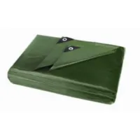 Bache ironside 6 x 10 m vert/bleu 140 gr/m²