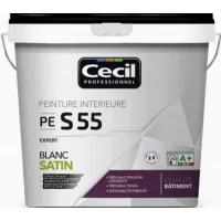 Peinture acrylique pe s55 satin 10 l